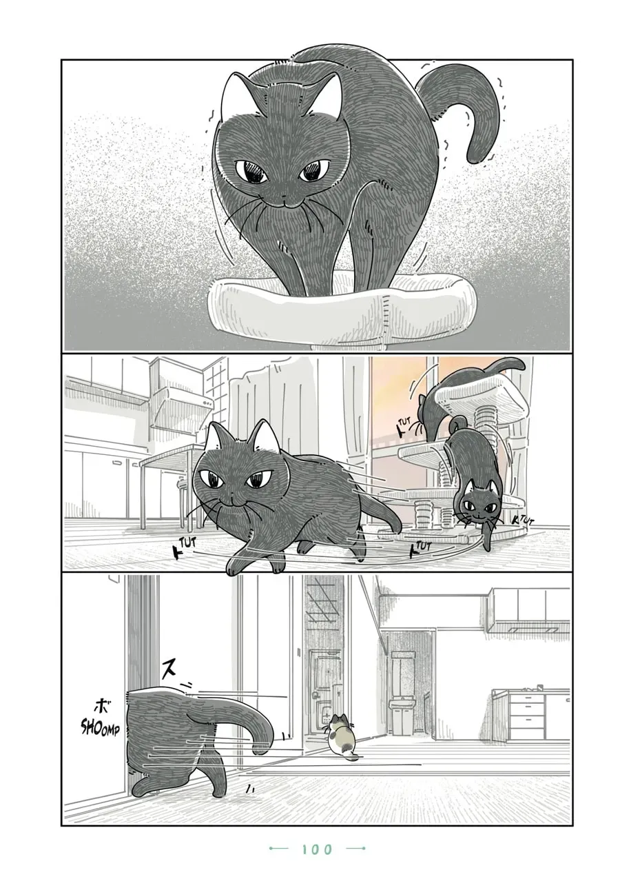 Nights With a Cat Chapter 197 page 5 - 