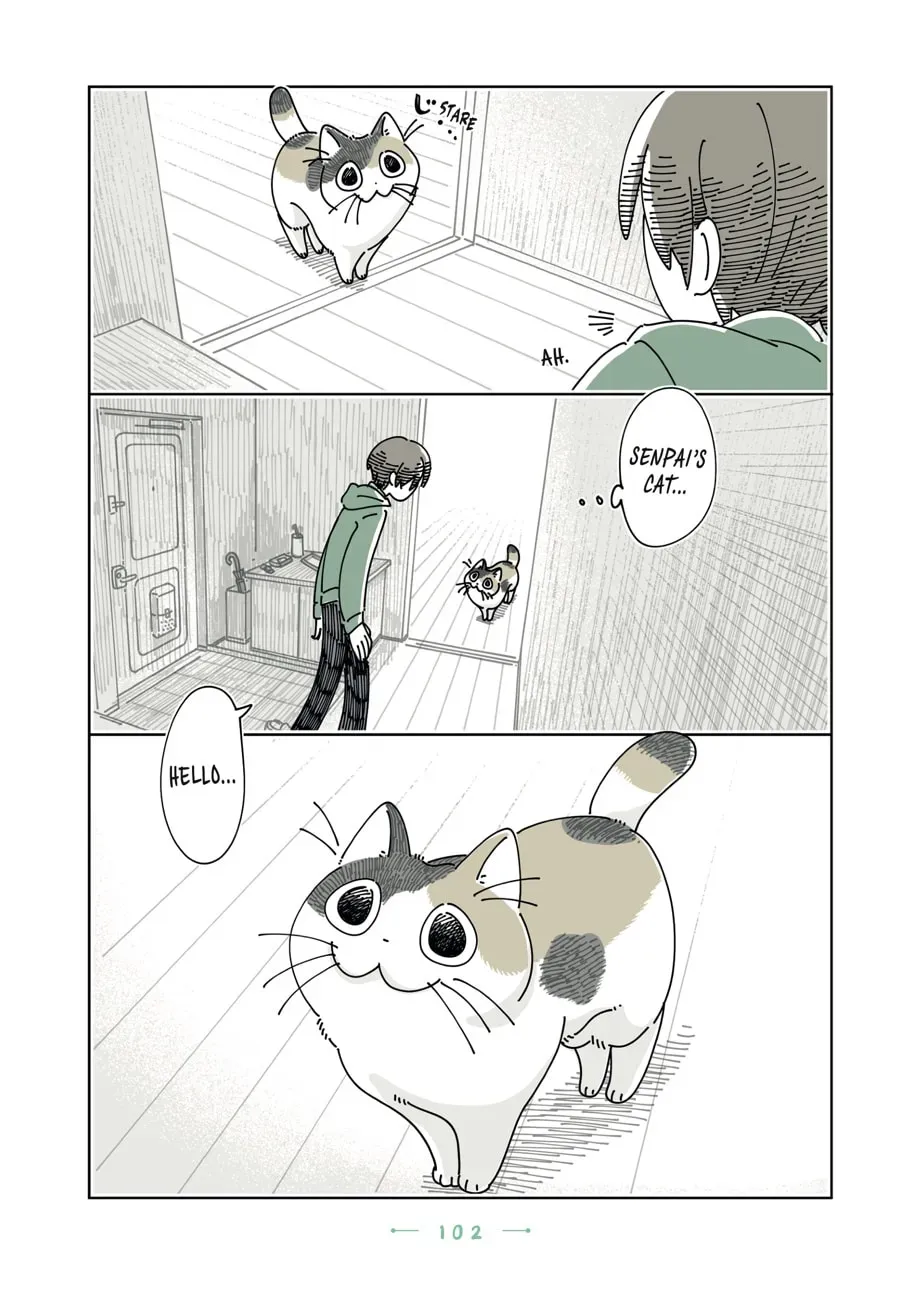 Nights With a Cat Chapter 197 page 7 - 