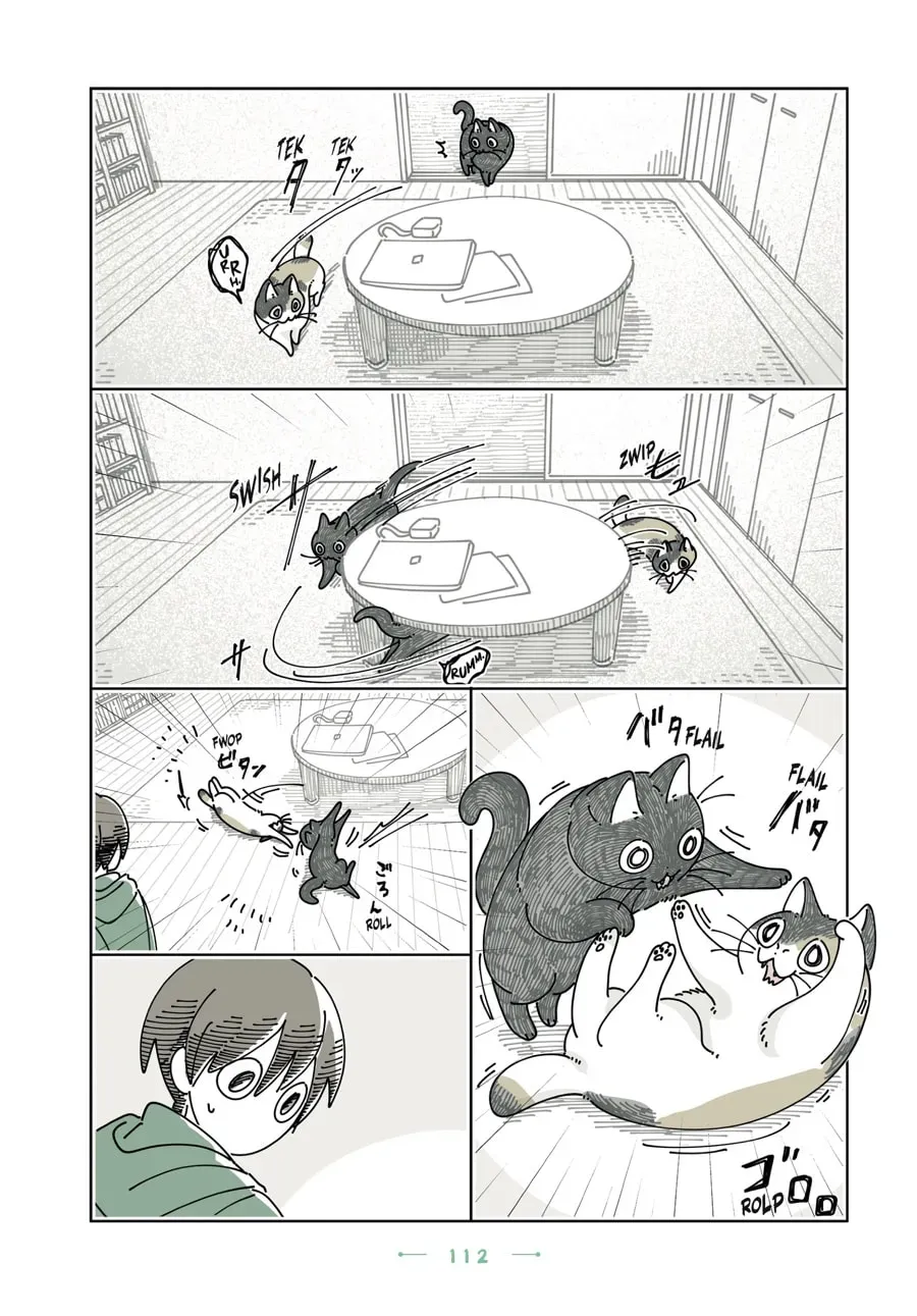 Nights With a Cat Chapter 198 page 2 - 