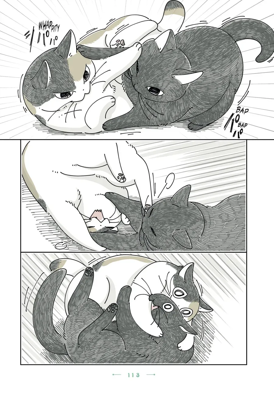Nights With a Cat Chapter 198 page 3 - 