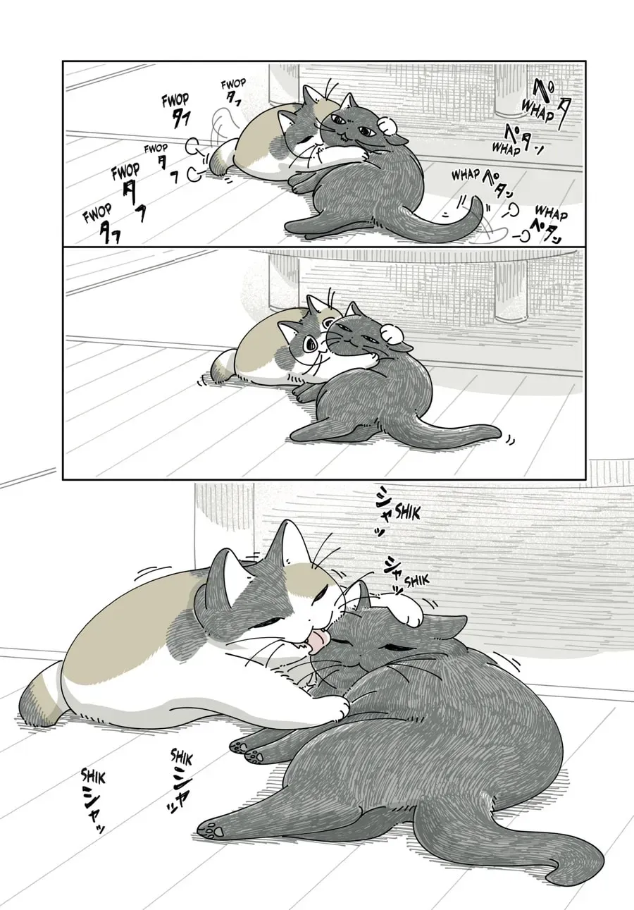 Nights With a Cat Chapter 198 page 4 - 