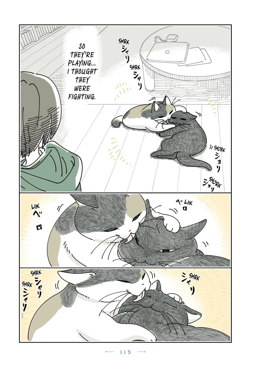 Nights With a Cat Chapter 198 page 5 - 
