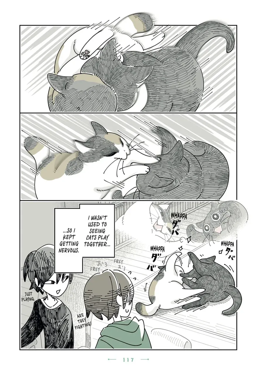 Nights With a Cat Chapter 198 page 7 - 