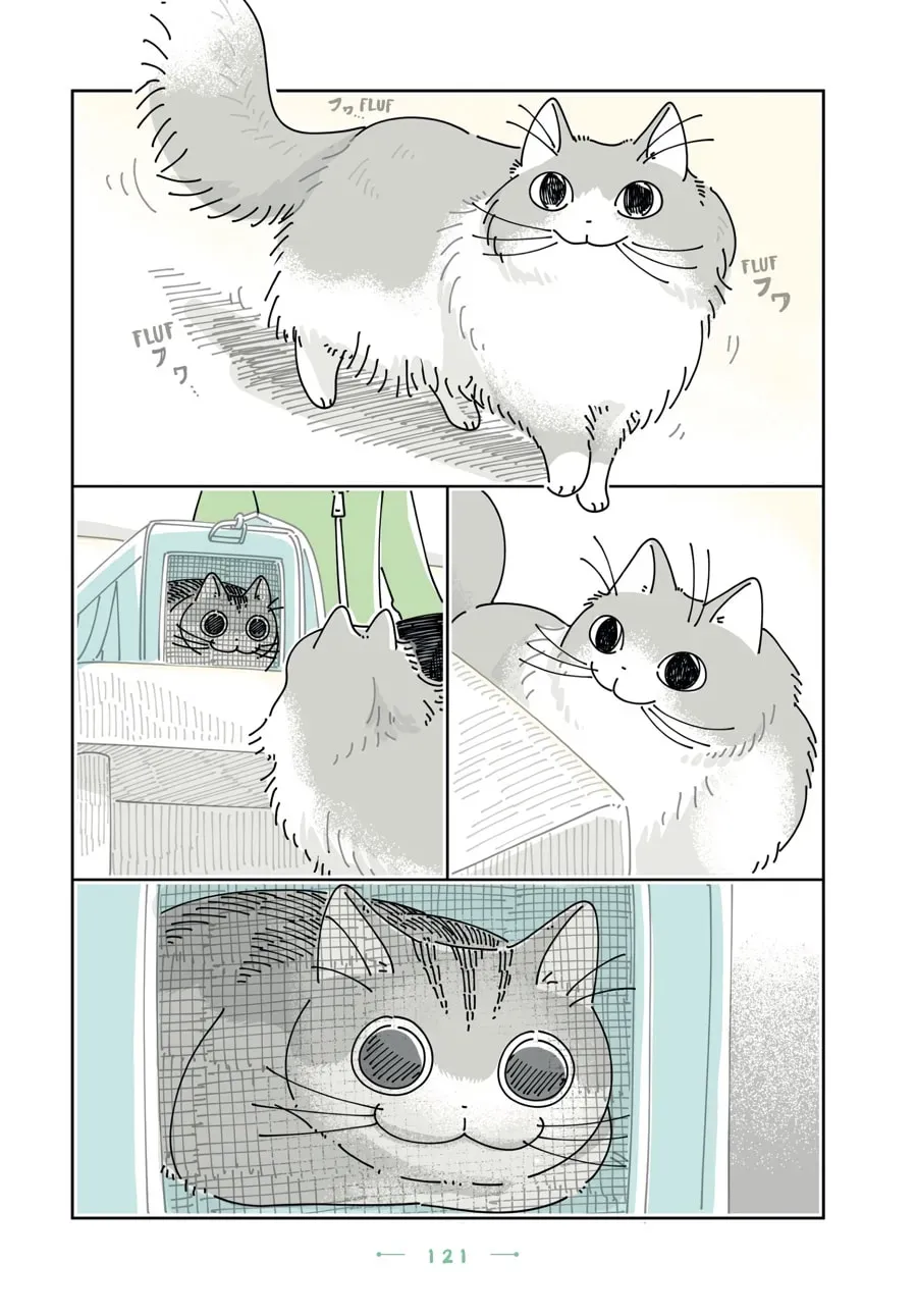Nights With a Cat Chapter 199 page 4 - 