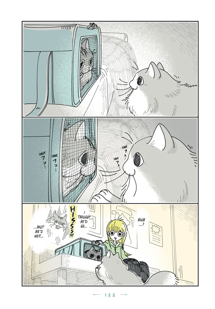 Nights With a Cat Chapter 199 page 5 - 
