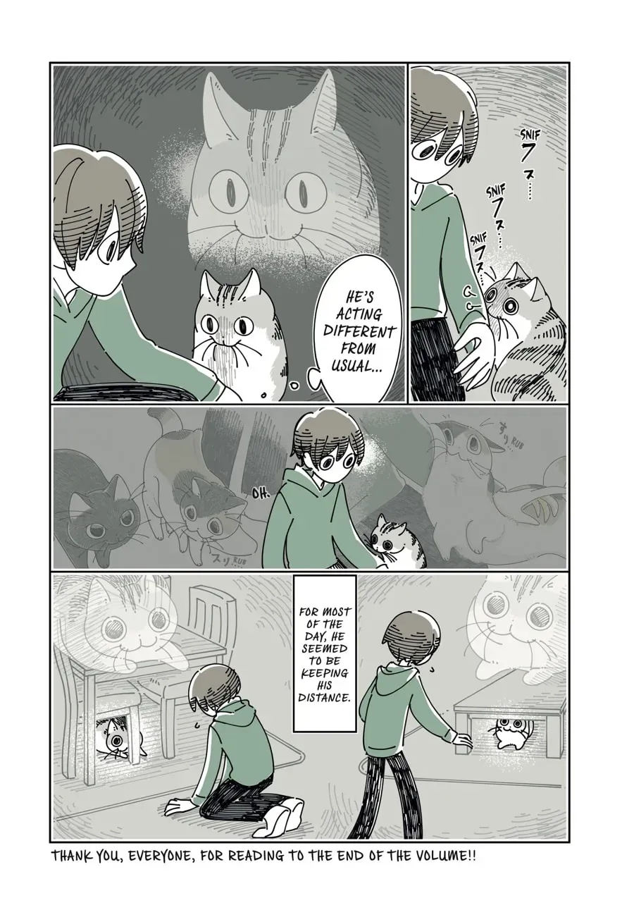 Nights With a Cat Chapter 199 page 10 - 
