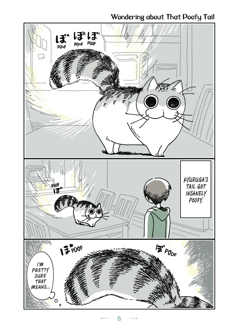 Nights With a Cat Chapter 2.1 page 1 - 