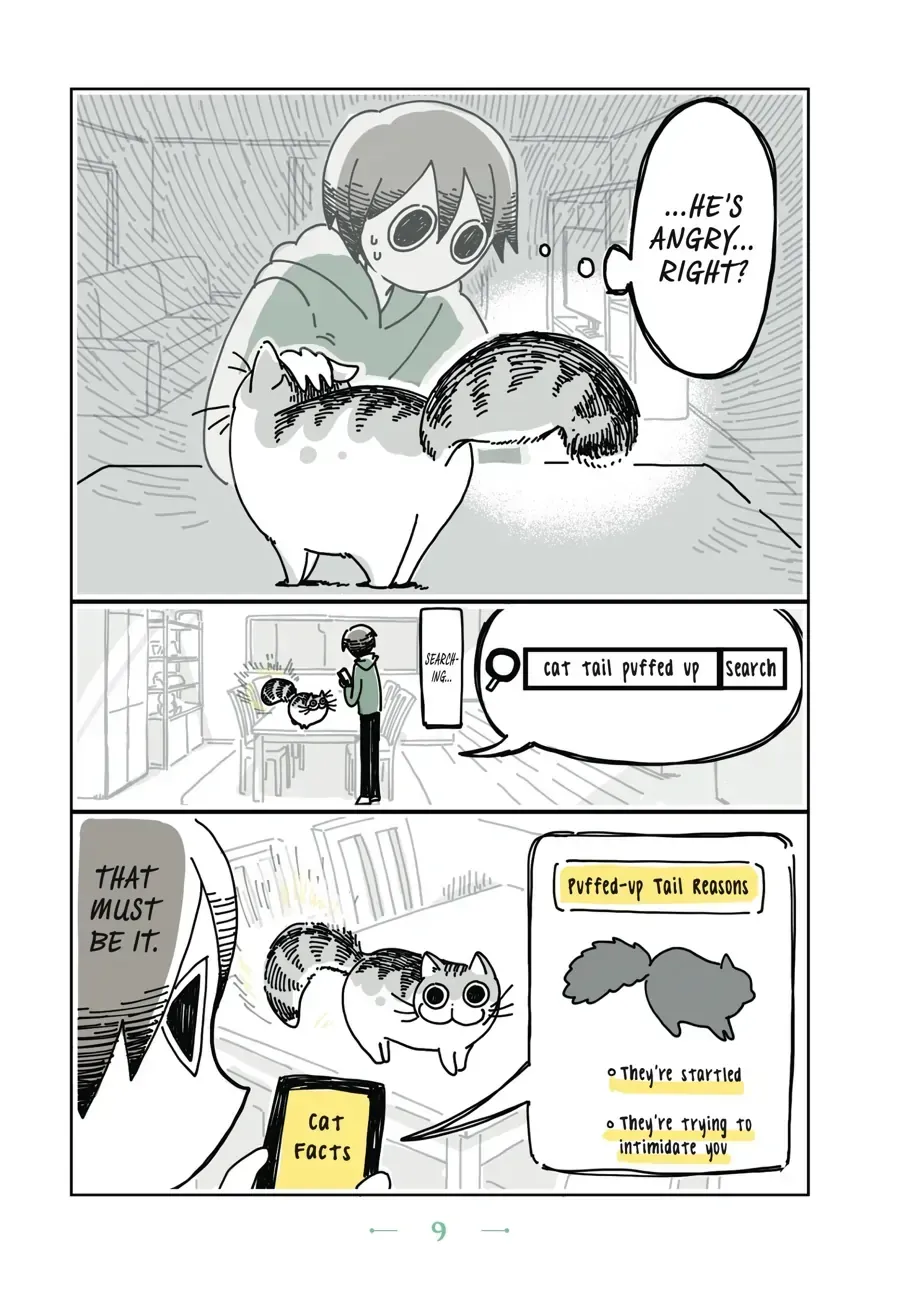 Nights With a Cat Chapter 2.1 page 2 - 
