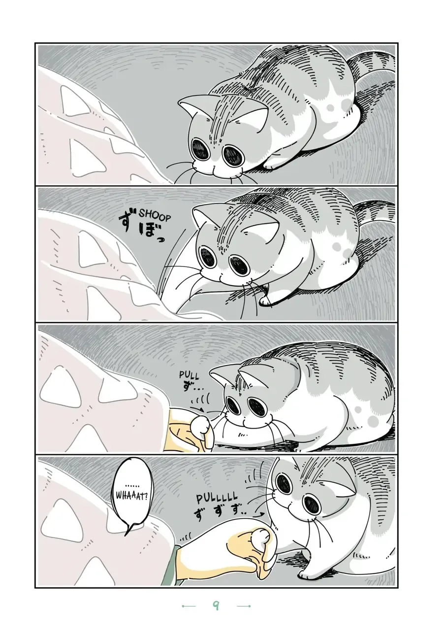 Nights With a Cat Chapter 2.2 page 2 - 