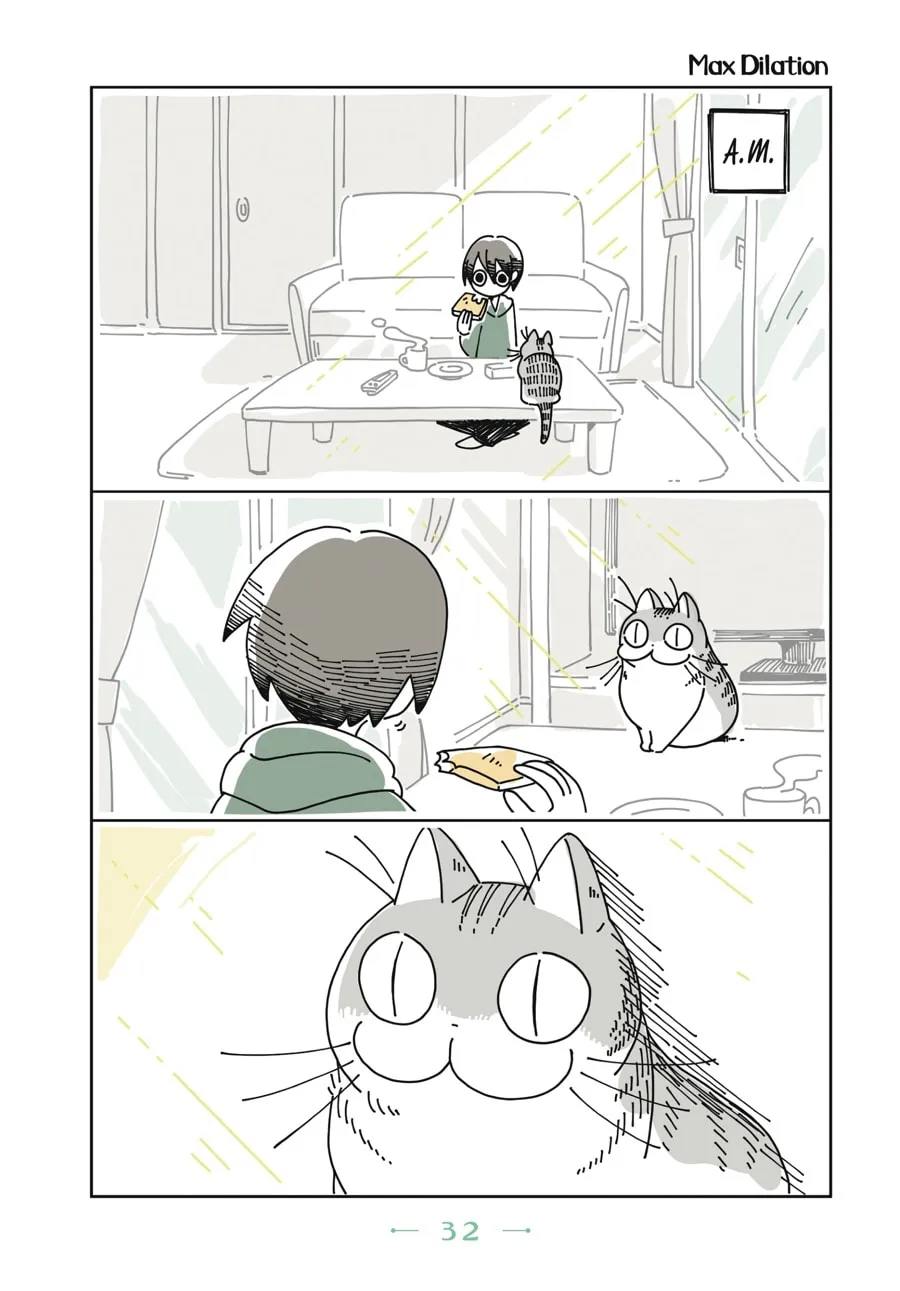 Nights With a Cat Chapter 2 page 11 - 