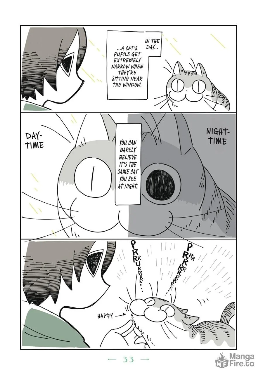 Nights With a Cat Chapter 2 page 12 - 