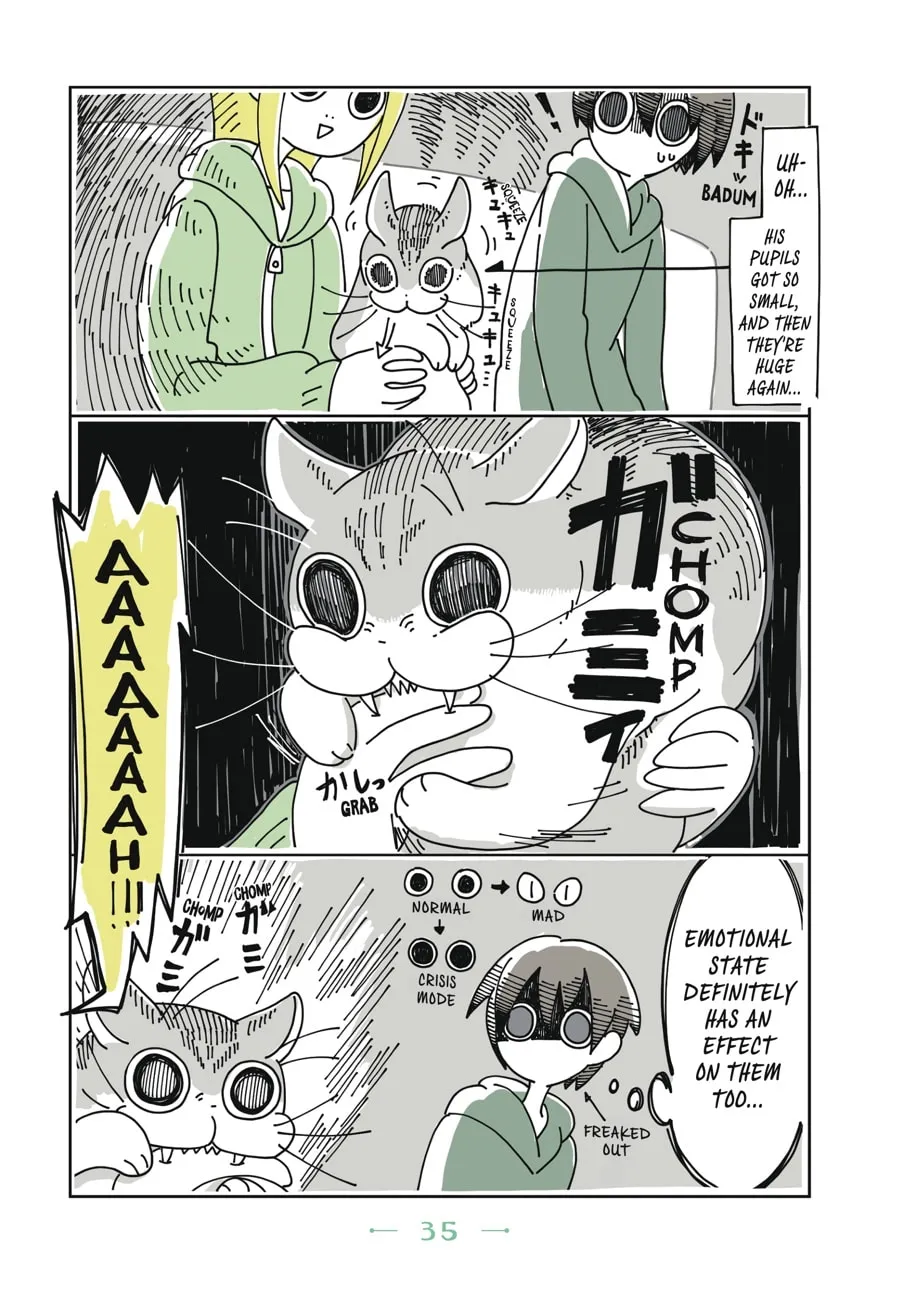 Nights With a Cat Chapter 2 page 14 - 