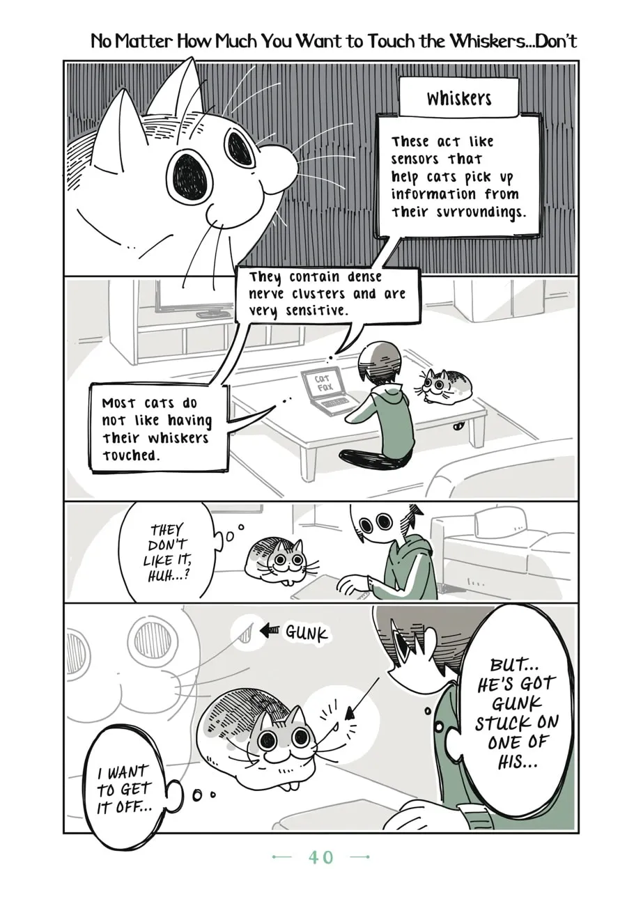 Nights With a Cat Chapter 2 page 19 - 