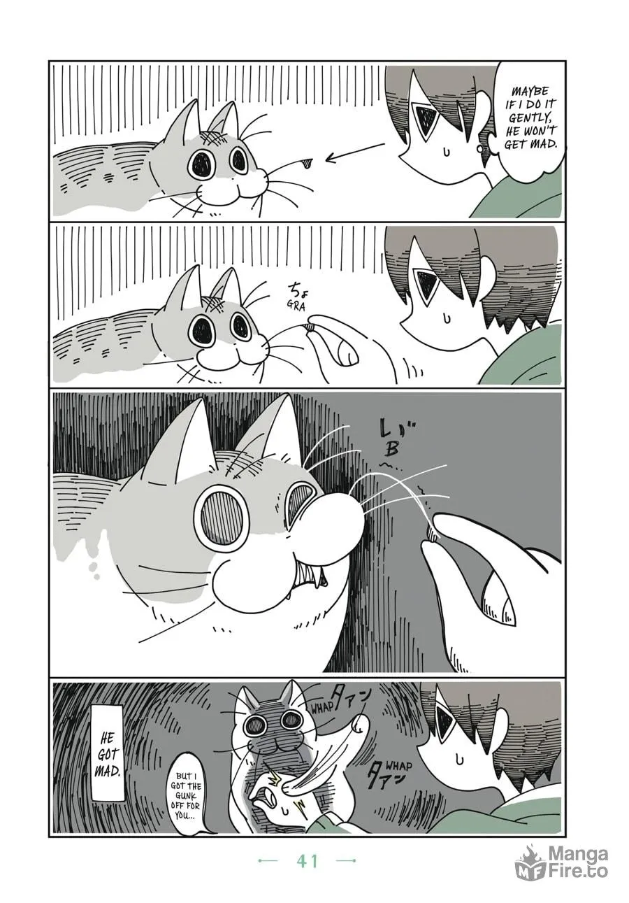 Nights With a Cat Chapter 2 page 20 - 