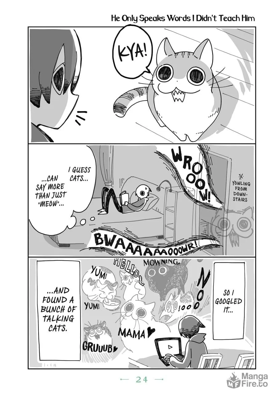 Nights With a Cat Chapter 2 page 3 - 