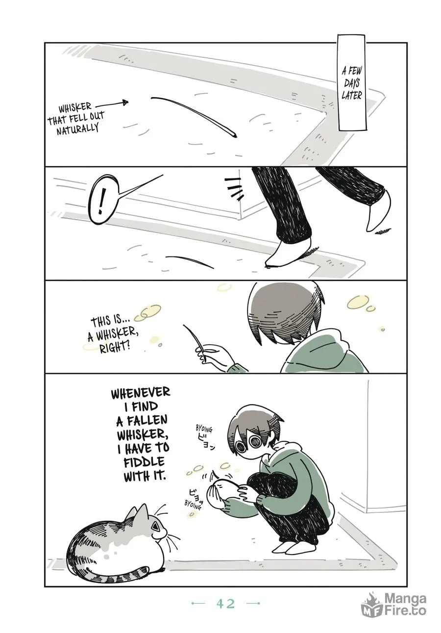 Nights With a Cat Chapter 2 page 21 - 