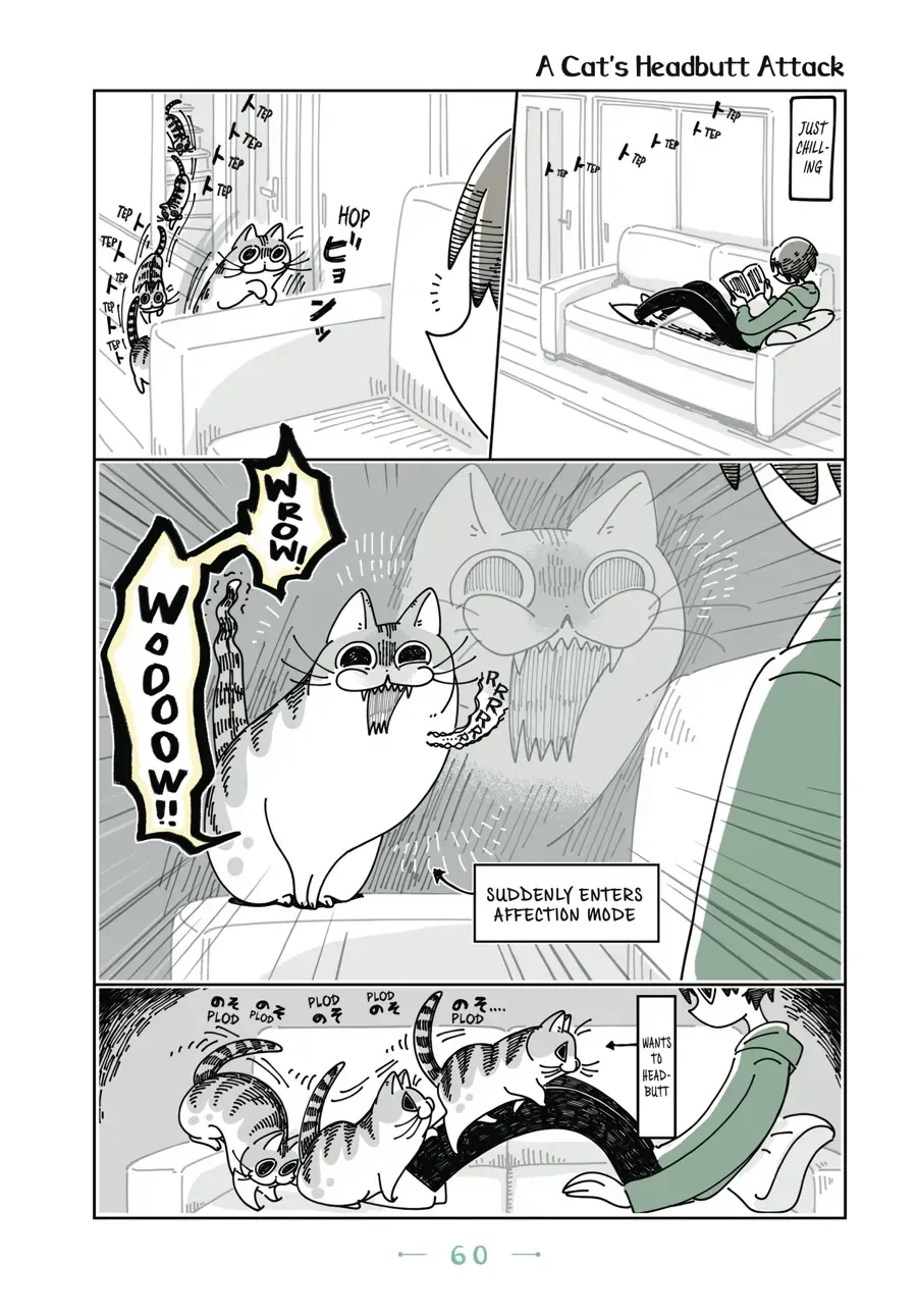Nights With a Cat Chapter 20.1 page 1 - 