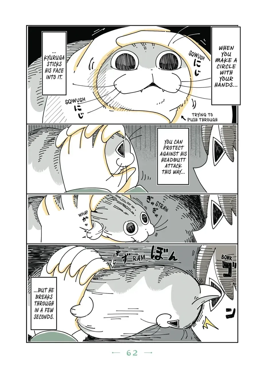 Nights With a Cat Chapter 20.1 page 3 - 