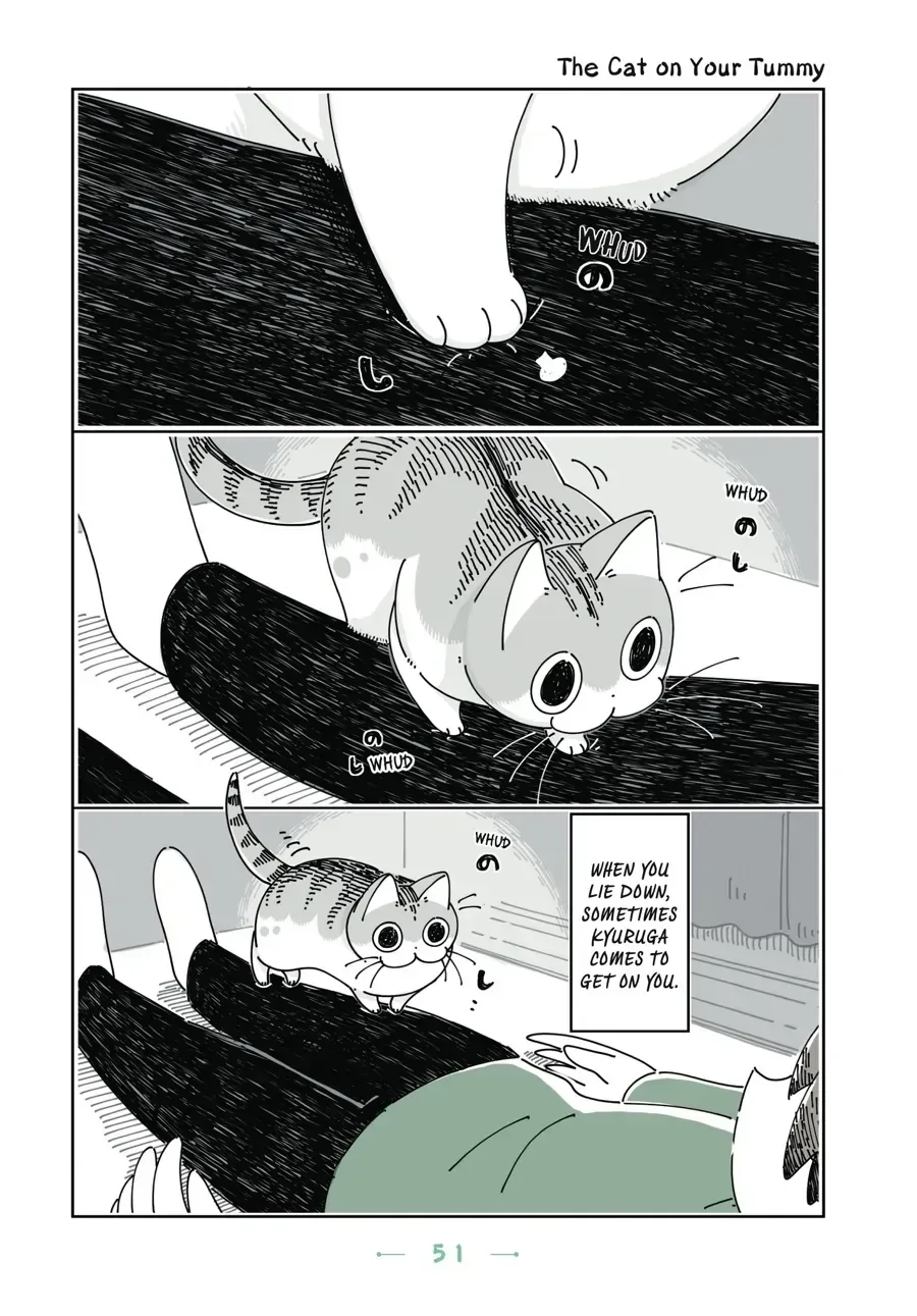 Nights With a Cat Chapter 20.2 page 1 - 