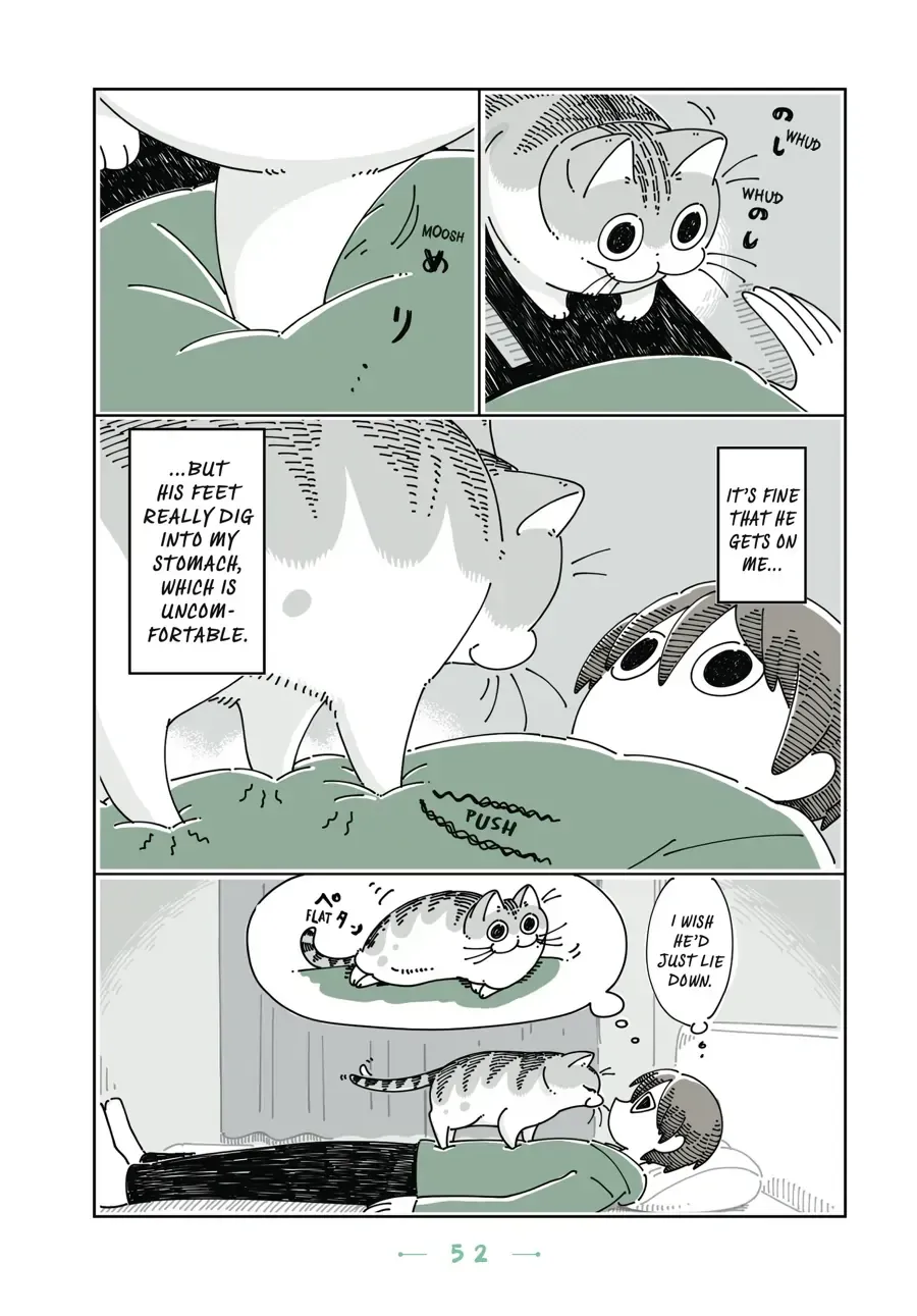 Nights With a Cat Chapter 20.2 page 2 - 