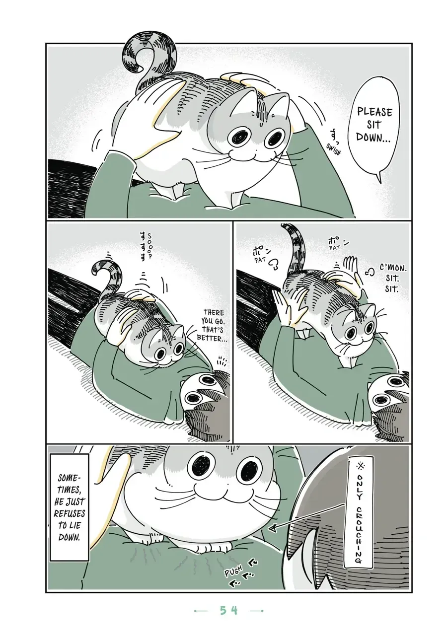 Nights With a Cat Chapter 20.2 page 4 - 