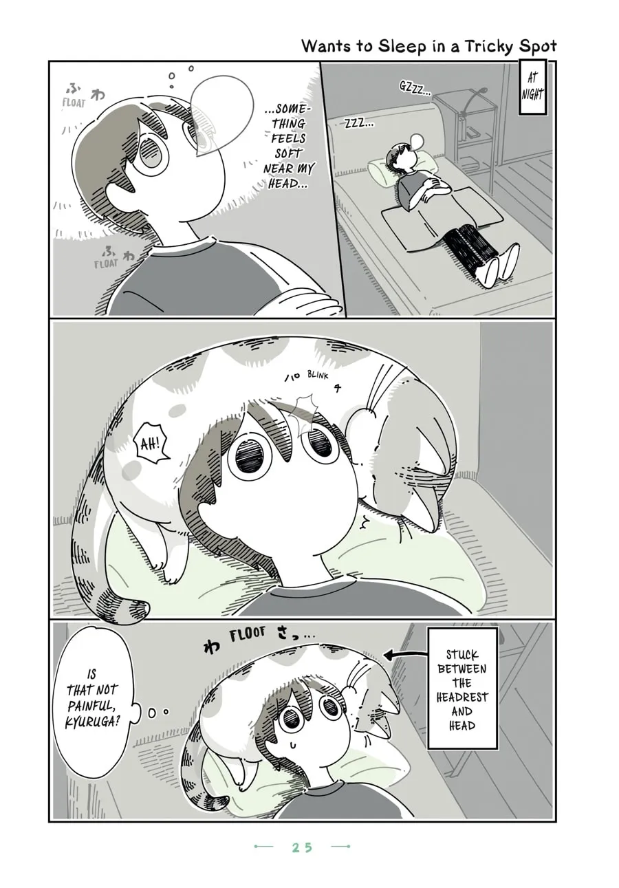 Nights With a Cat Chapter 20 page 1 - 