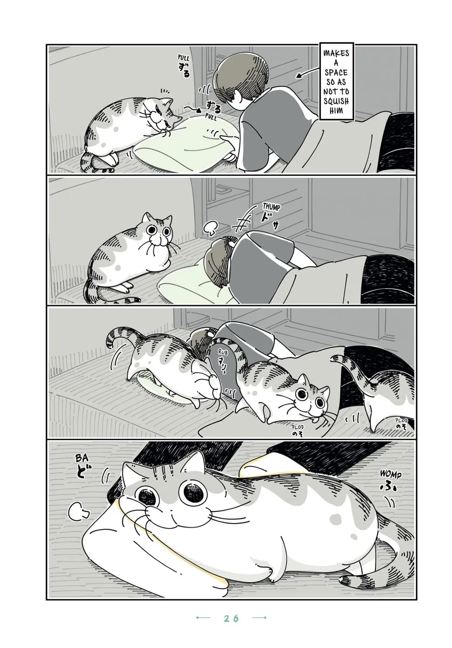 Nights With a Cat Chapter 20 page 2 - 