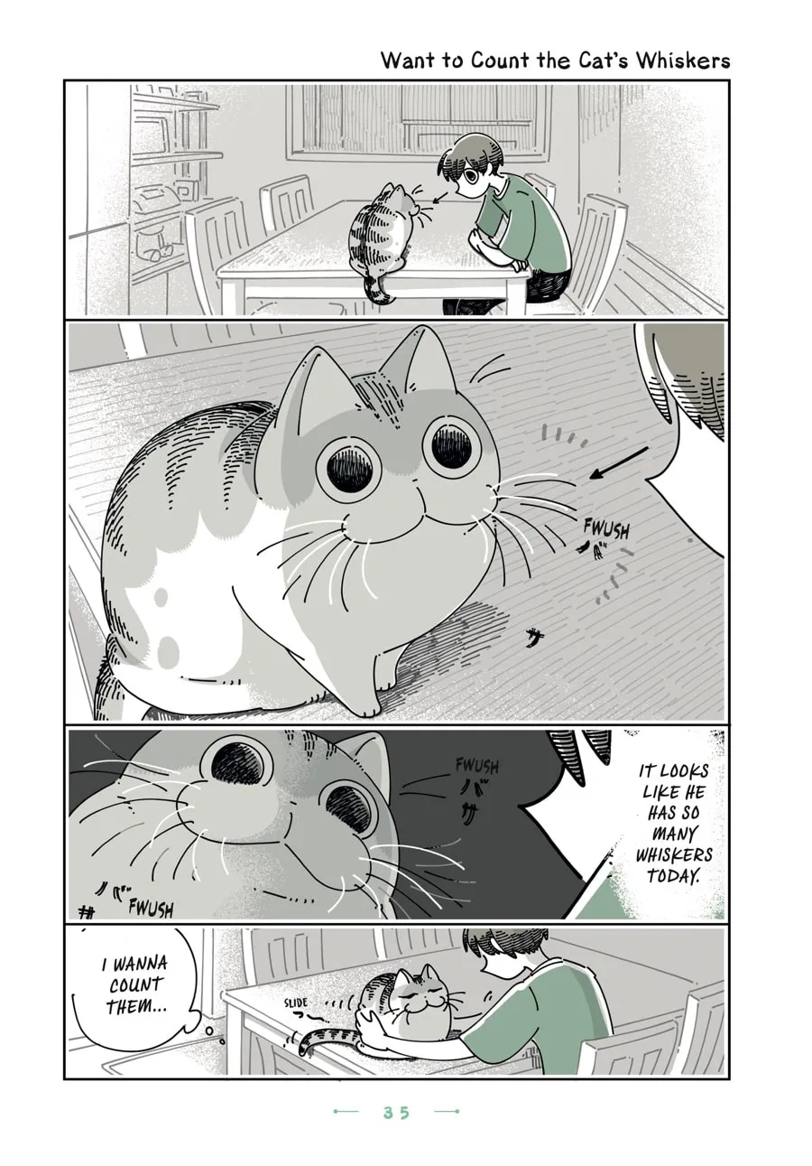 Nights With a Cat Chapter 20 page 11 - 