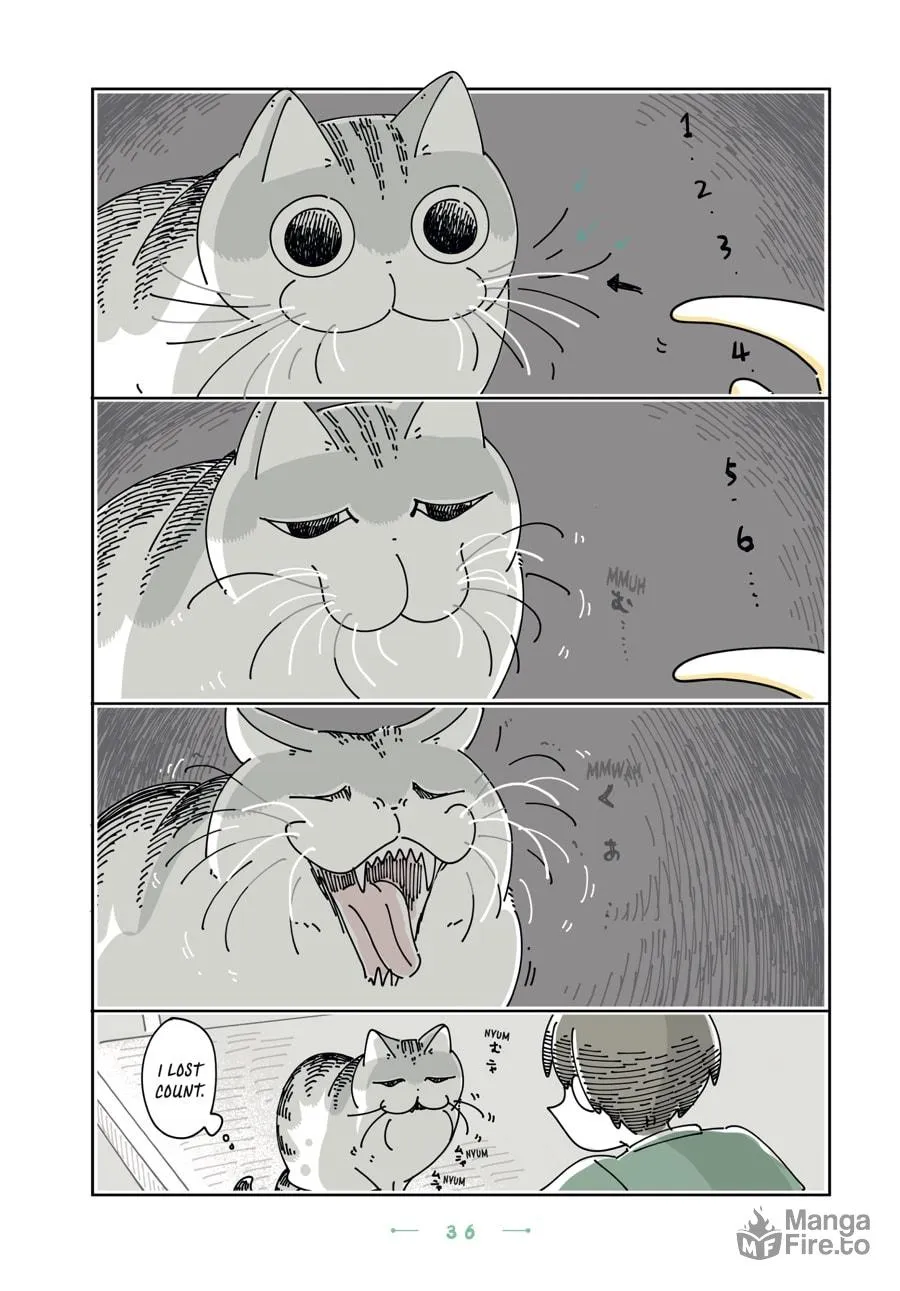 Nights With a Cat Chapter 20 page 12 - 