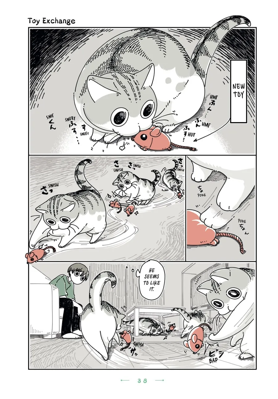 Nights With a Cat Chapter 20 page 14 - 