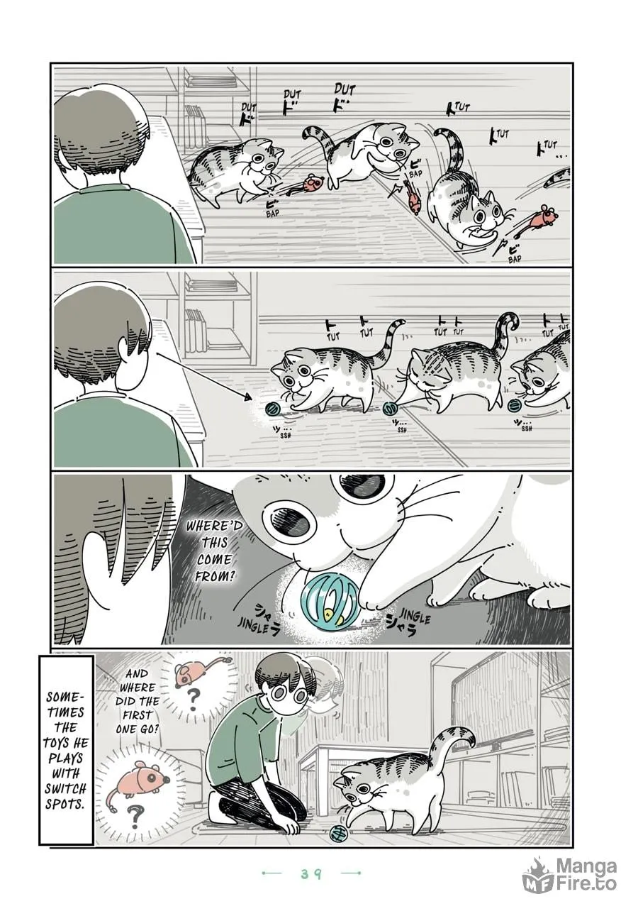 Nights With a Cat Chapter 20 page 15 - 
