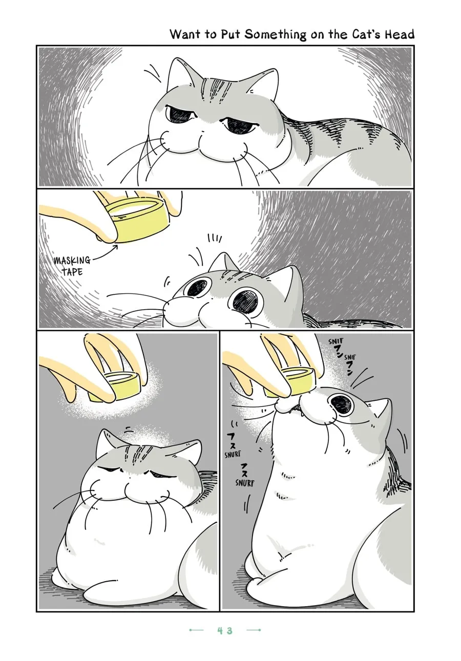Nights With a Cat Chapter 20 page 19 - 