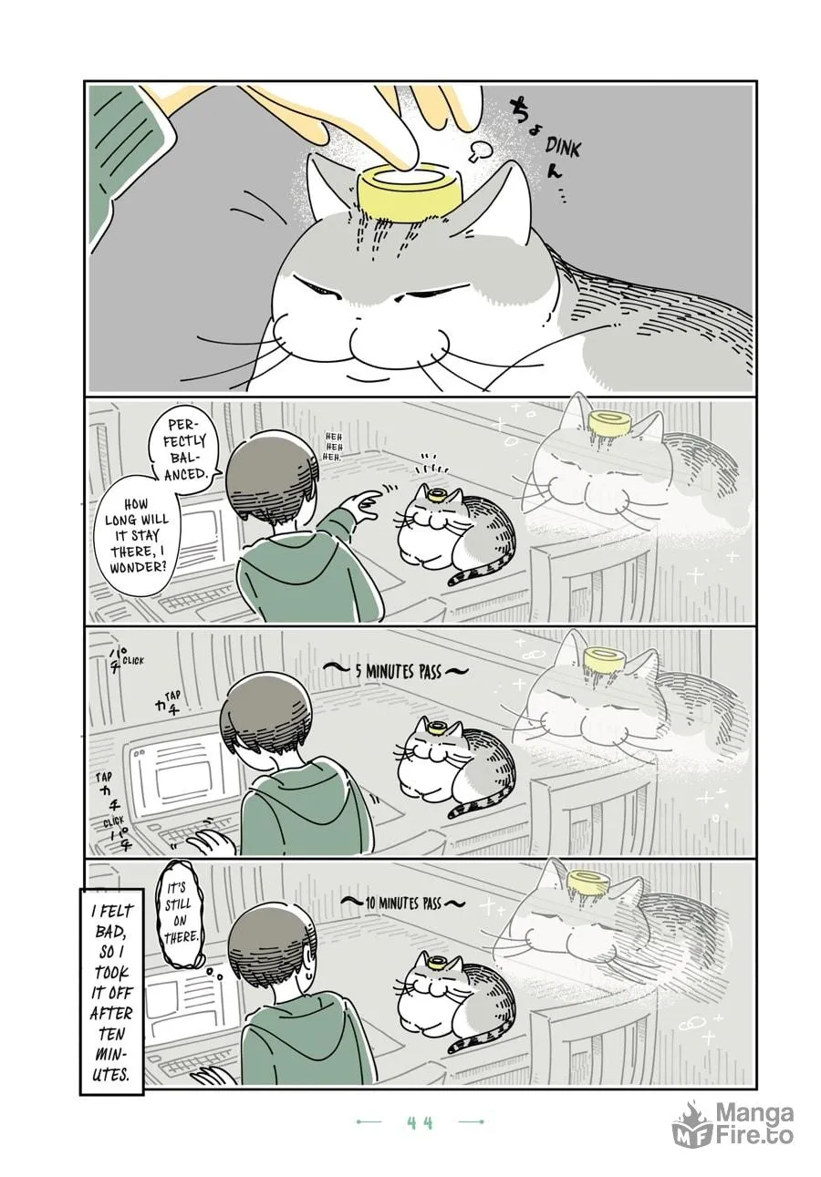 Nights With a Cat Chapter 20 page 20 - 