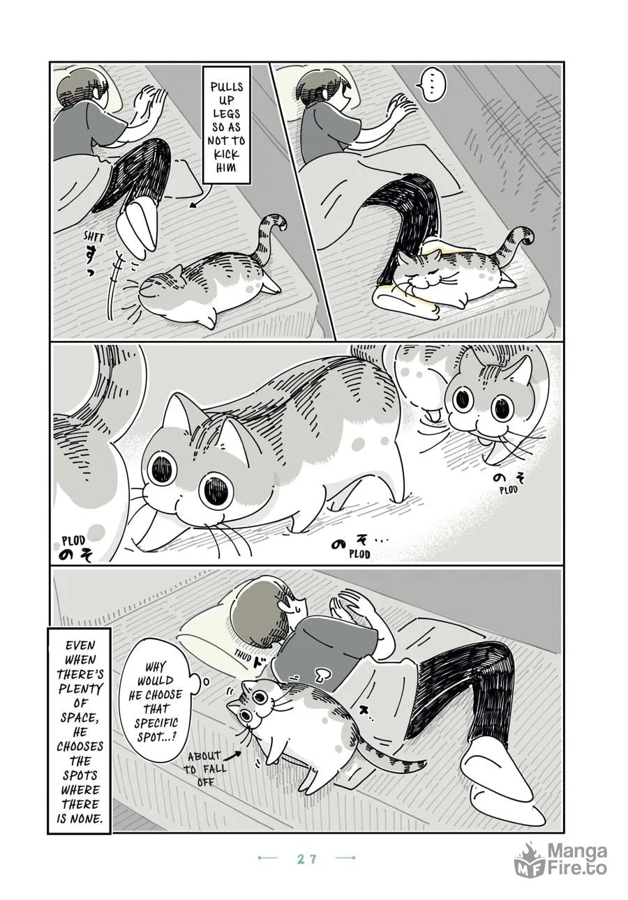 Nights With a Cat Chapter 20 page 3 - 