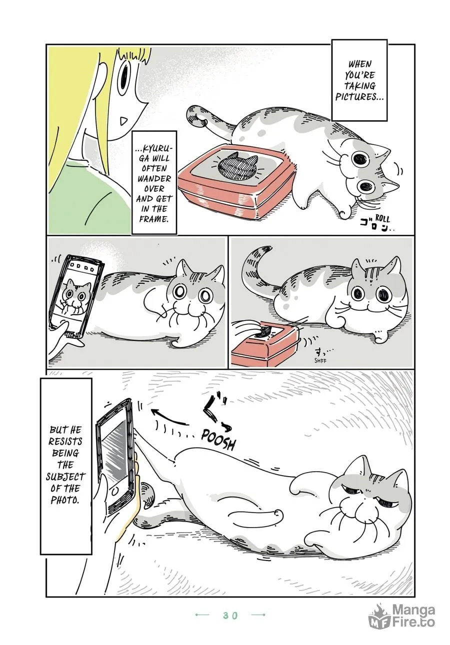 Nights With a Cat Chapter 20 page 6 - 