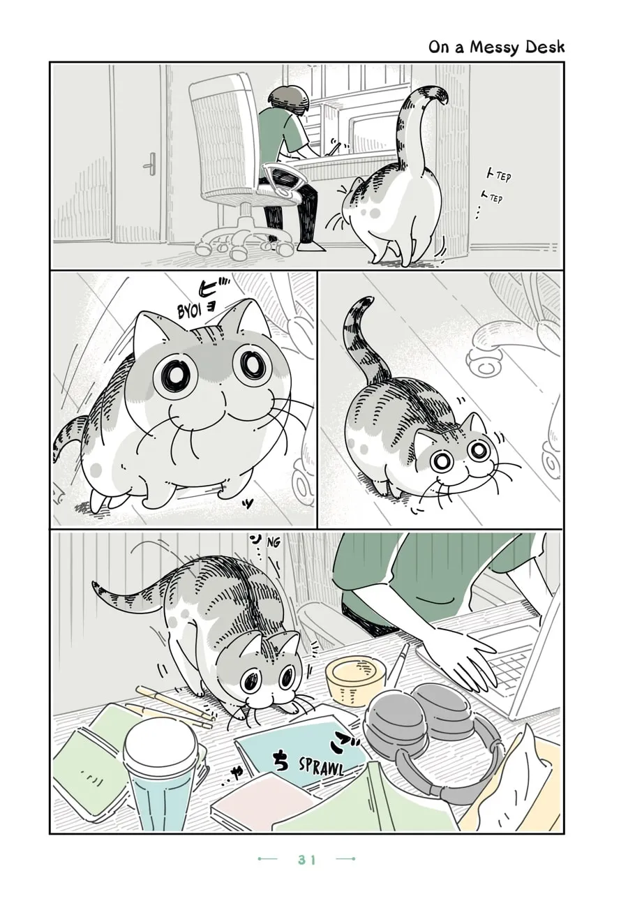 Nights With a Cat Chapter 20 page 7 - 