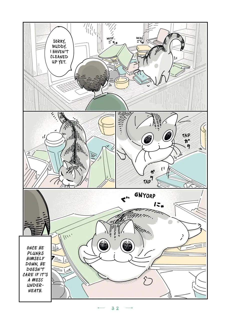 Nights With a Cat Chapter 20 page 8 - 