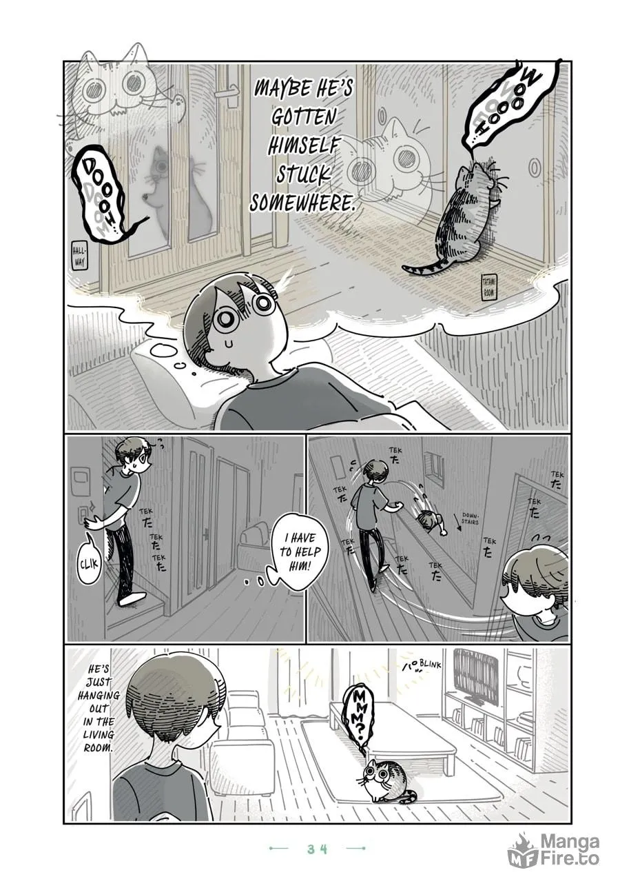 Nights With a Cat Chapter 20 page 10 - 