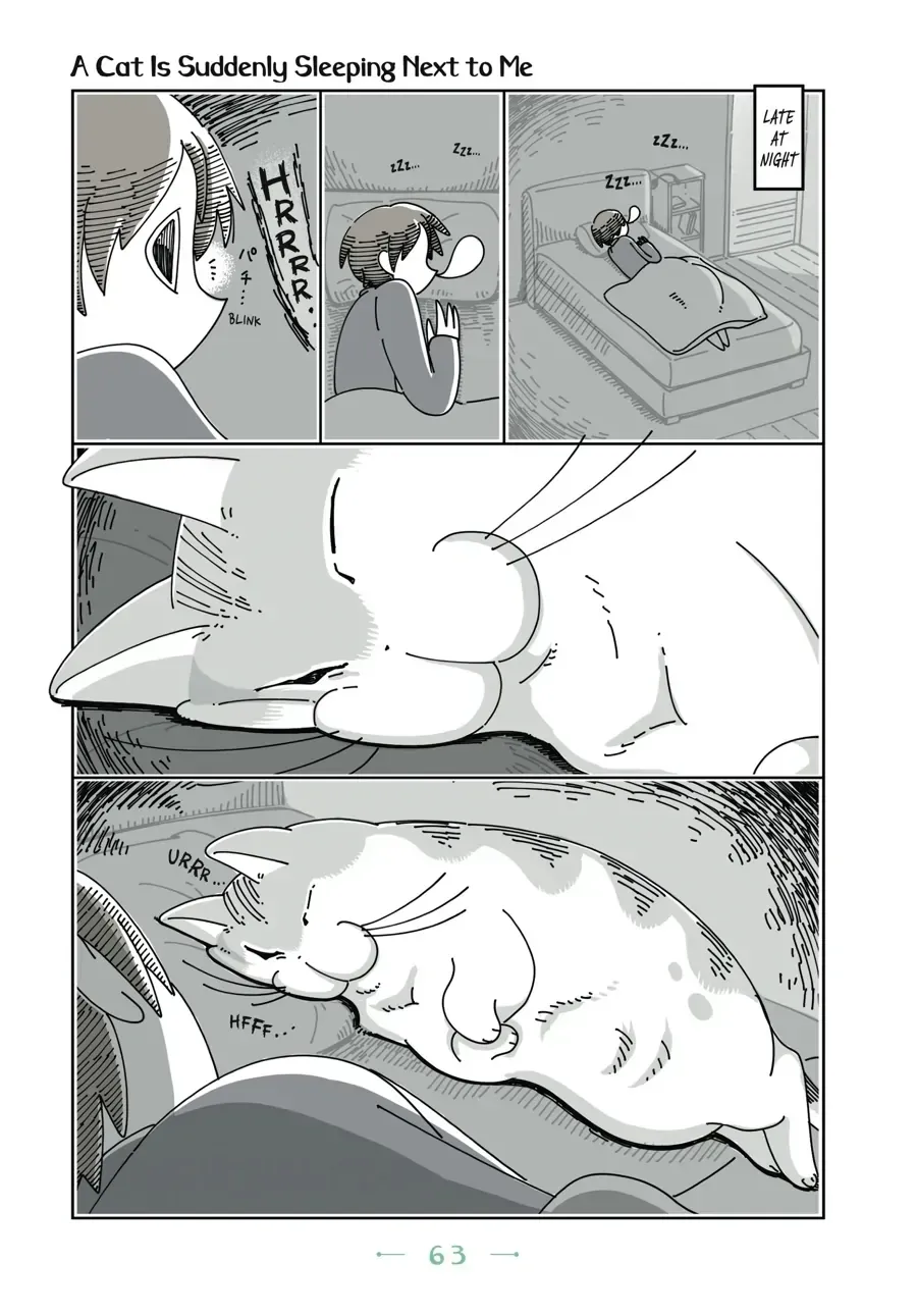 Nights With a Cat Chapter 21.1 page 1 - 