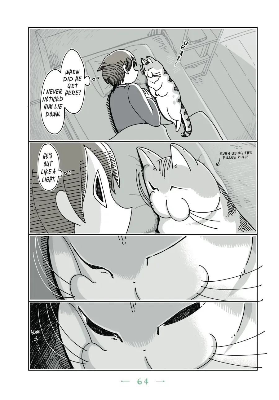 Nights With a Cat Chapter 21.1 page 2 - 