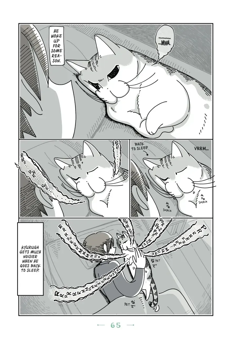 Nights With a Cat Chapter 21.1 page 3 - 