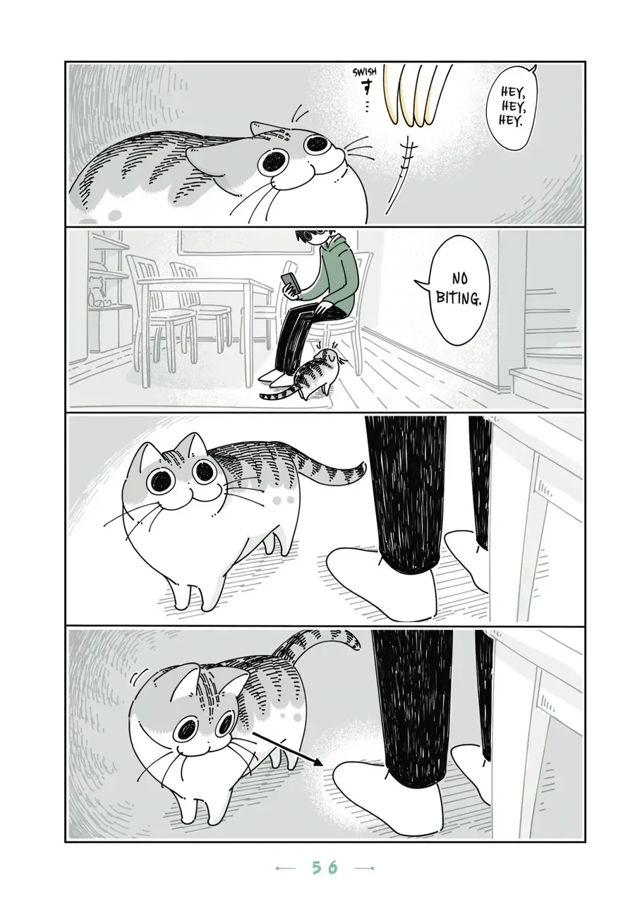 Nights With a Cat Chapter 21.2 page 2 - 