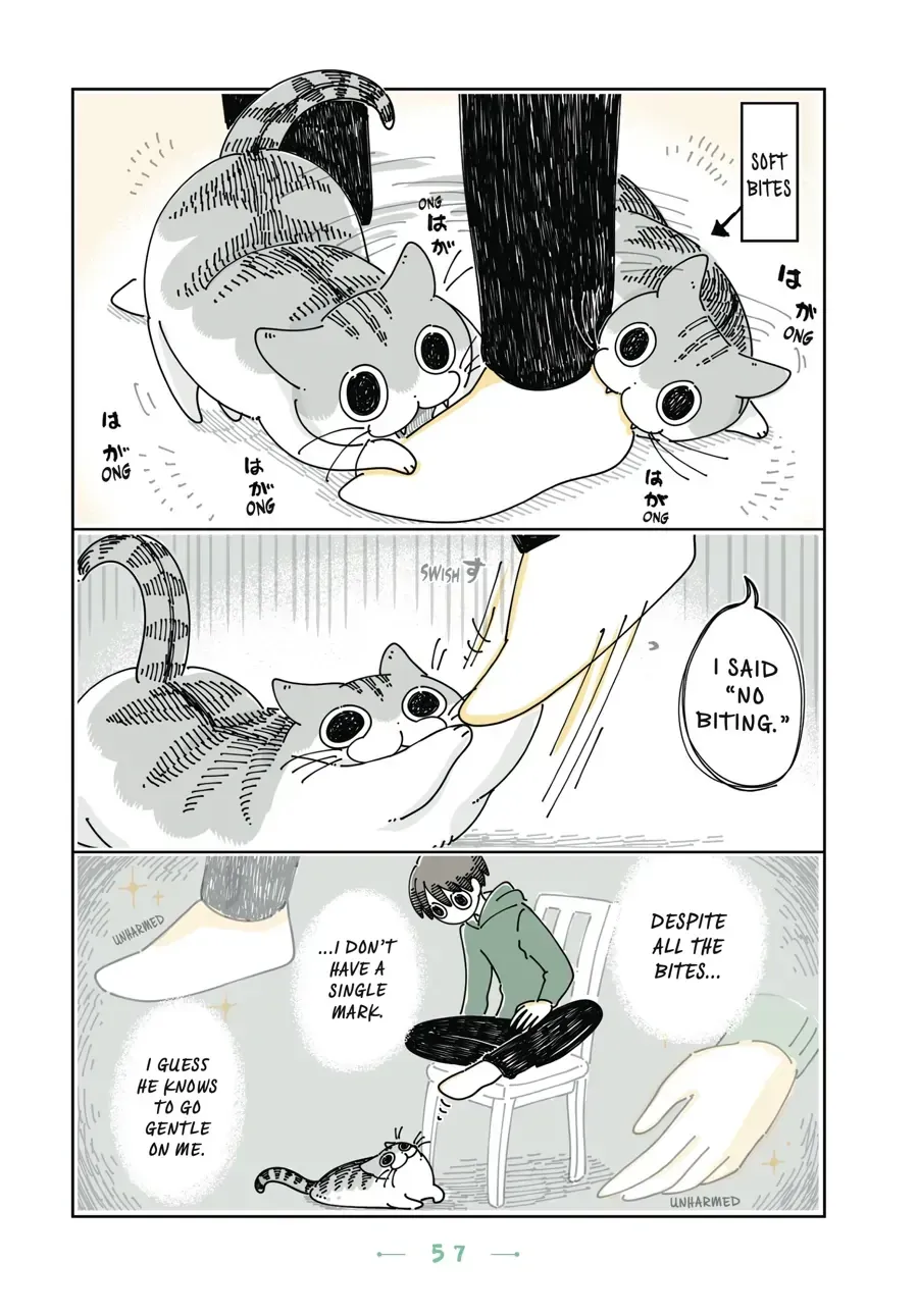 Nights With a Cat Chapter 21.2 page 3 - 