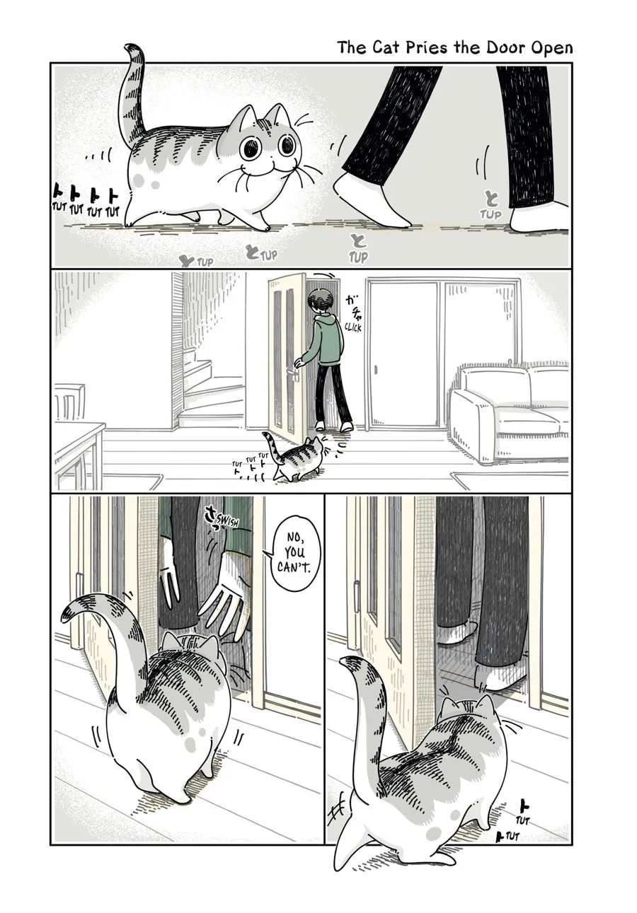 Nights With a Cat Chapter 21 page 1 - 