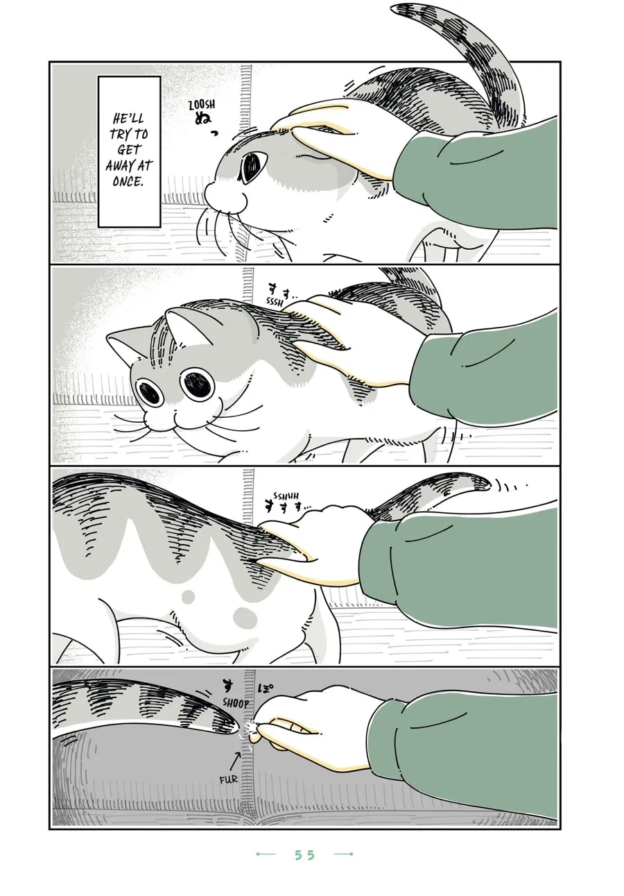 Nights With a Cat Chapter 21 page 11 - 
