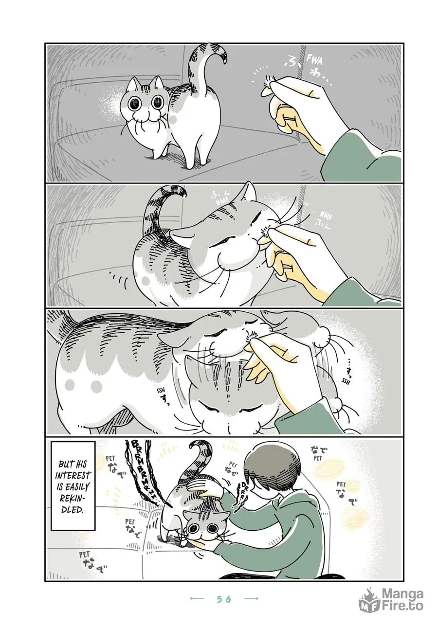 Nights With a Cat Chapter 21 page 12 - 