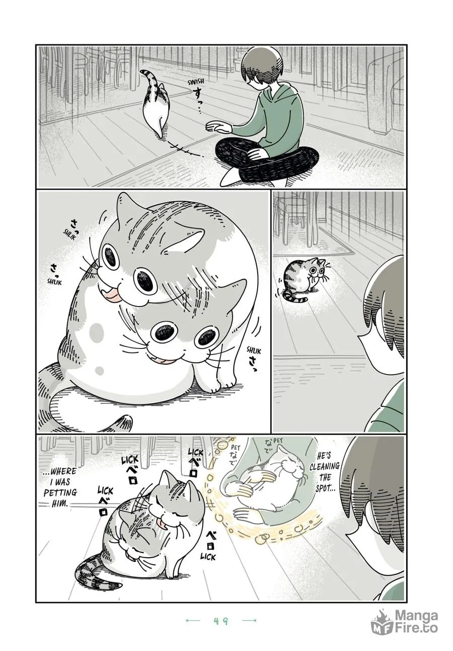 Nights With a Cat Chapter 21 page 5 - 