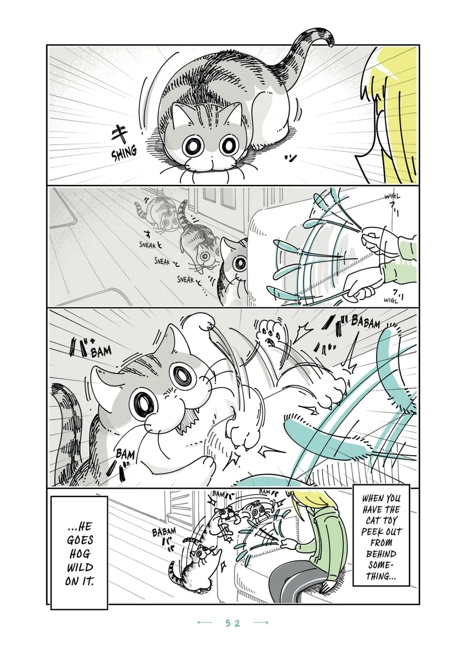 Nights With a Cat Chapter 21 page 8 - 