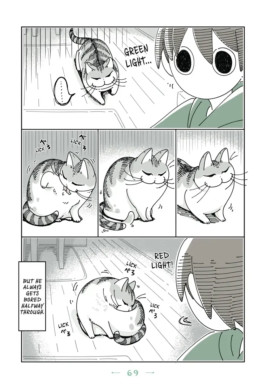 Nights With a Cat Chapter 22.1 page 4 - 