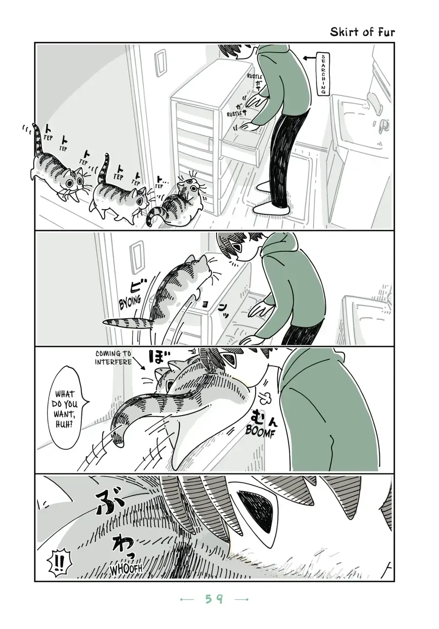 Nights With a Cat Chapter 22.2 page 1 - 